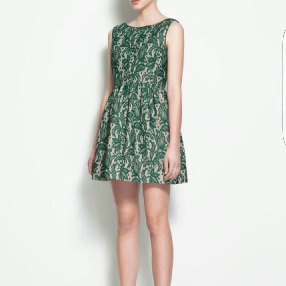 Zara Floral Tulip Dress